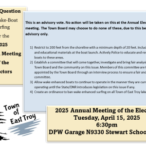 Advisory Vote Clarification